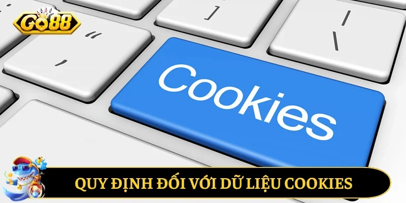 Quy định đối với dữ liệu cookies